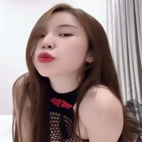 Đan Phượng Shop Collection 2025